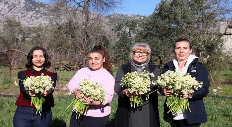 Antalya Büyükşehir Belediyesi Kadın Üreticilere Nergis Hibesi Sağlıyor