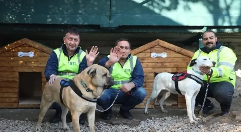 İETT'nin Patili Dostlar Ailesine Yeni Üyeler Katıldı







