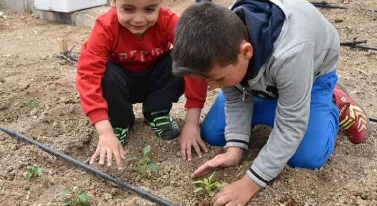 Konya Karatay Hobi Bahçelerine Yoğun İlgi: Online Başvurular Başladı