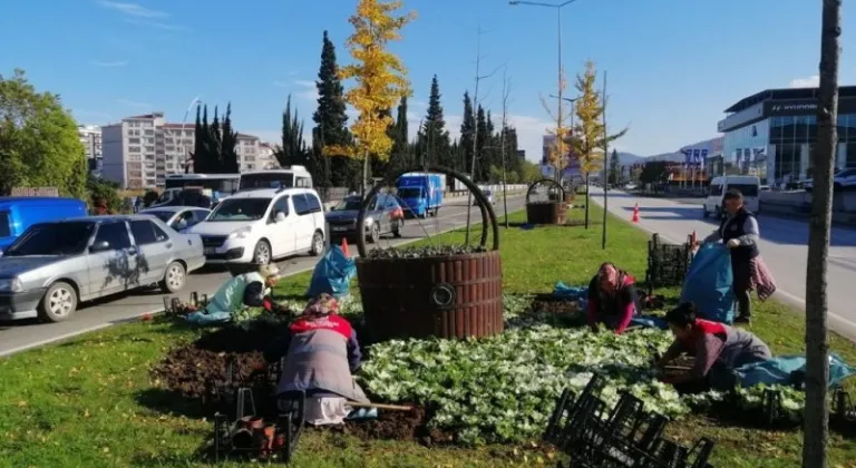 Ordu'ya Yeşil Dokunuş: 7 Milyon Ağaç ve Fidan Toprakla Buluştu